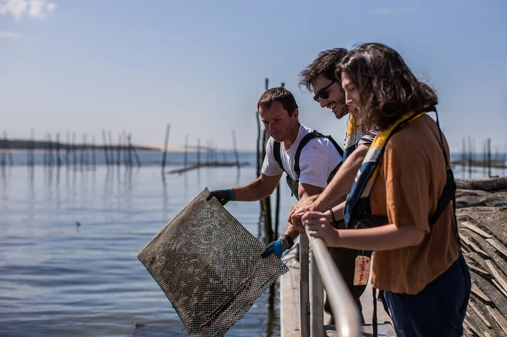 Oysters and white wine